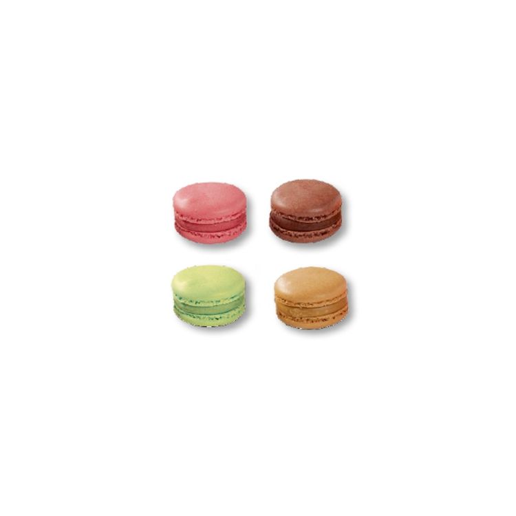 macarons assortiment 15g/96