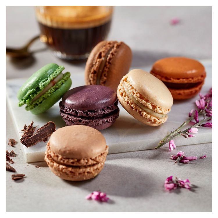 Macarons "Les Créatifs"