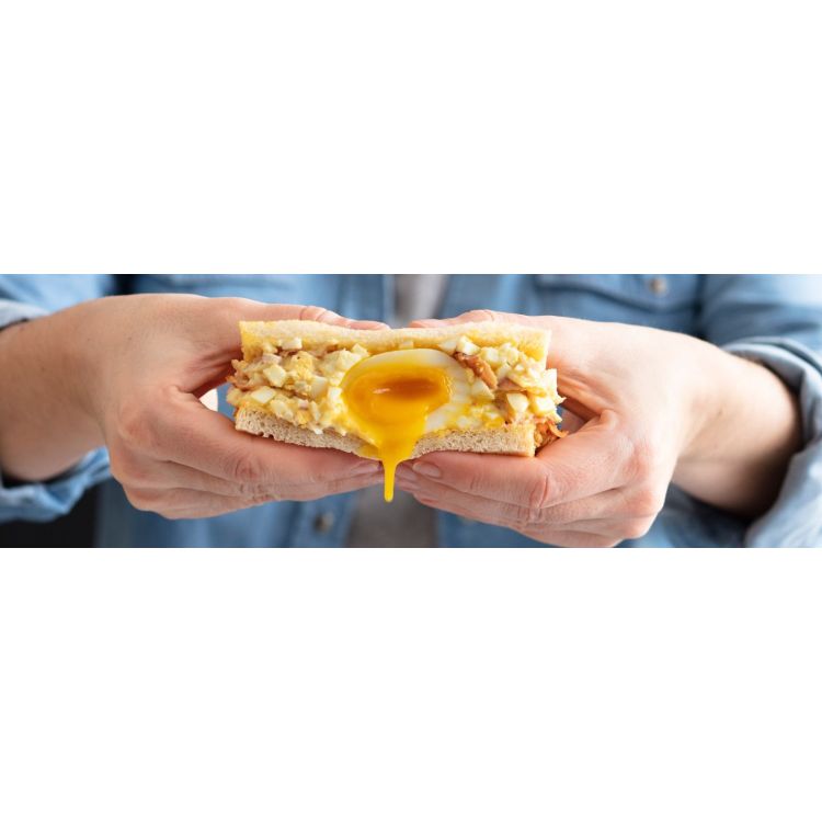 EGG SANDWICH