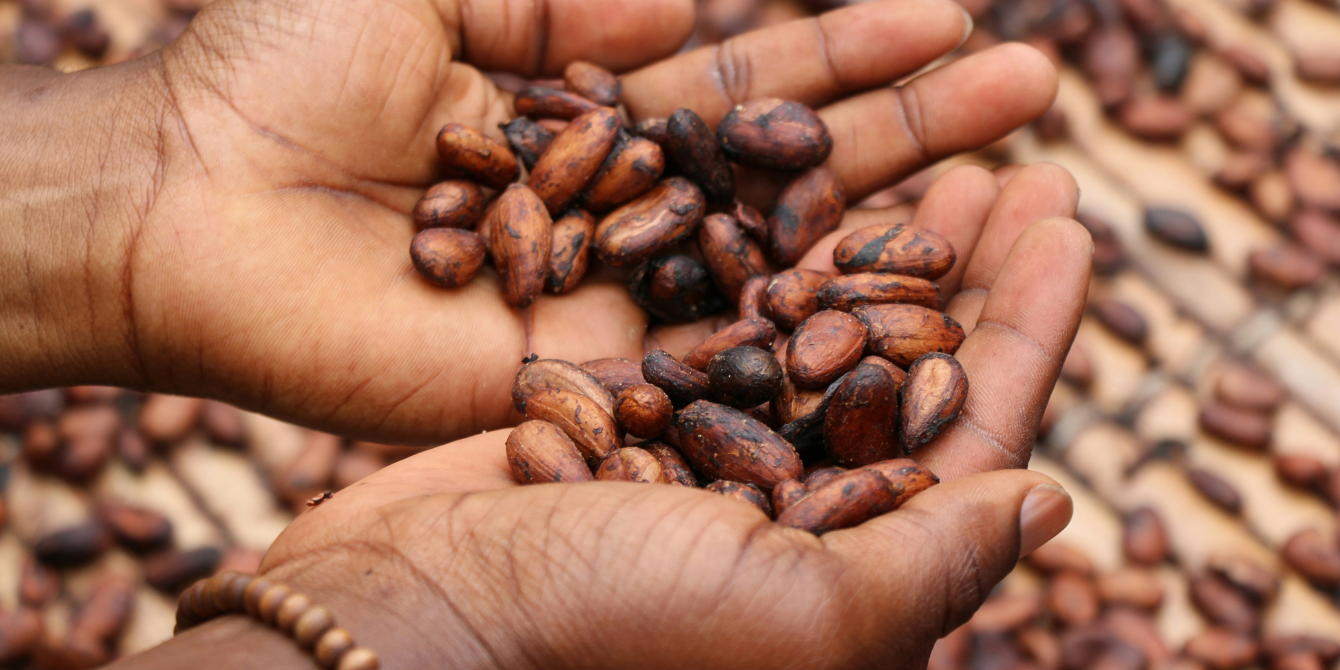 CSR labels and sustainability certifications in the food industry
