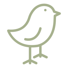 Bird Icon