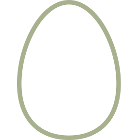 Egg Icon