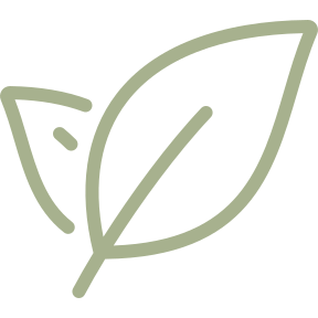 Leaf Icon