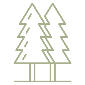 Trees Icon
